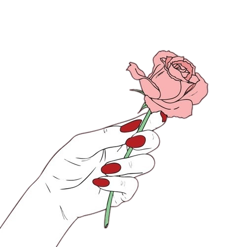 roses freetoedit #roses sticker by @sofia230