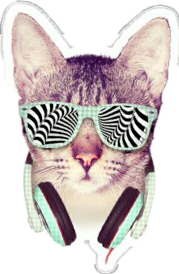 cat glasses enjoy music freetoedit sticker by @aslnzynep