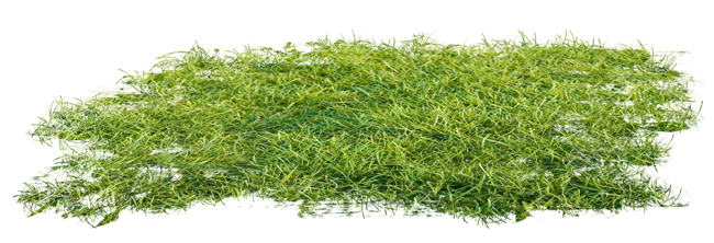 grass freetoedit #grass sticker by @bladeaks1