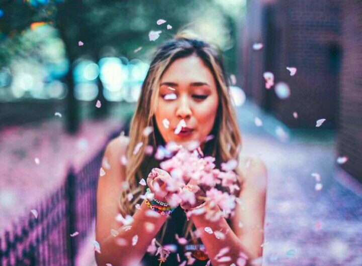 FreeToEdit laurdiy flowers - Image by Megi - 720 x 530 jpeg 75kB