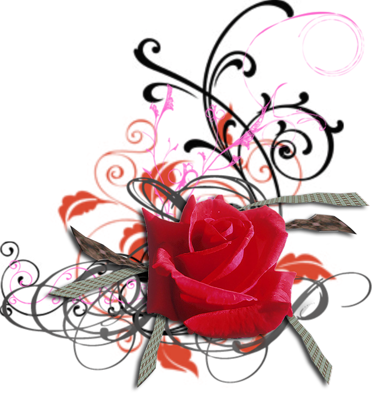 Sex Beautiful Rose Roses Sticker By Magomedova984