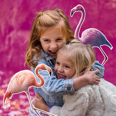 Cute girls with pink flamingos